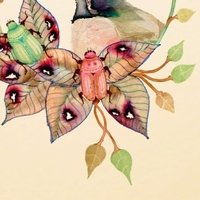 Colleen Parker Naken